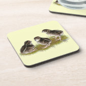 Coturnix Quail Chicks Untersetzer (Linke Seite)