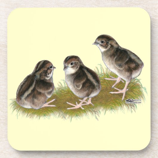 Coturnix Quail Chicks Untersetzer (Vorderseite)