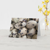 Coturnix Quail Egg Karte (Gelbe Blume)
