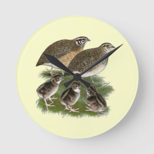 Coturnix Quail Family Runde Wanduhr