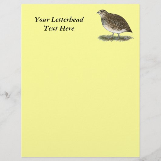 Coturnix Quail Hen (Vorderseite)