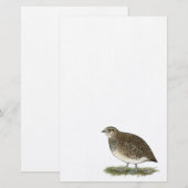 Coturnix Quail Hen Briefpapier (Vorne/Hinten)