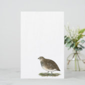 Coturnix Quail Hen Briefpapier (Stehend Vorderseite)