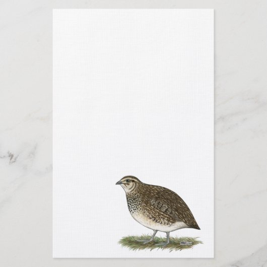 Coturnix Quail Hen Briefpapier (Vorderseite)
