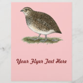 Coturnix Quail Hen Flyer (Vorne)