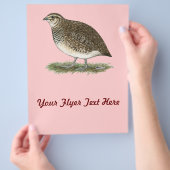 Coturnix Quail Hen Flyer (Hand)