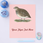 Coturnix Quail Hen Flyer (Einzeln)