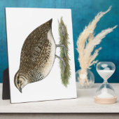 Coturnix Quail Hen Fotoplatte (Seite)