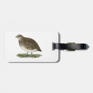 Coturnix Quail Hen Gepäckanhänger