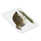 Coturnix Quail Hen Magnet (Rechte Seite)