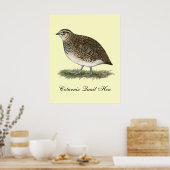 Coturnix Quail Hen Poster (Küche)