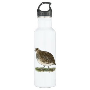 Coturnix Quail Hen Trinkflasche