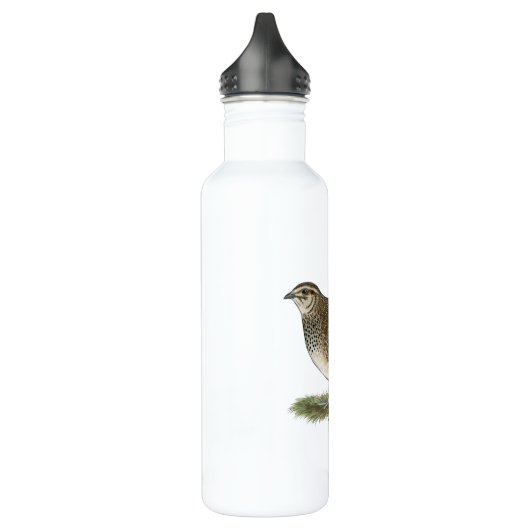 Coturnix Quail Hen Trinkflasche (Links)
