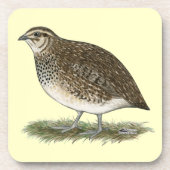 Coturnix Quail Hen Untersetzer (Vorderseite)