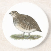 Coturnix Quail Hen Untersetzer (Vorne)