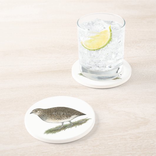 Coturnix Quail Hen Untersetzer (Seite)