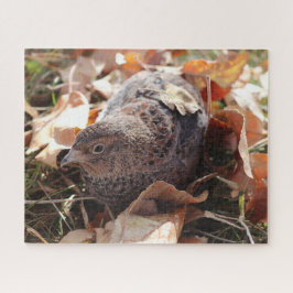 Coturnix Quail in den Blätter Puzzle