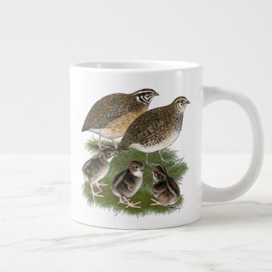Coturnix Quail Jumbo-Tasse (Rechts)
