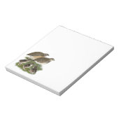Coturnix Quail Notizblock (Rotiert)
