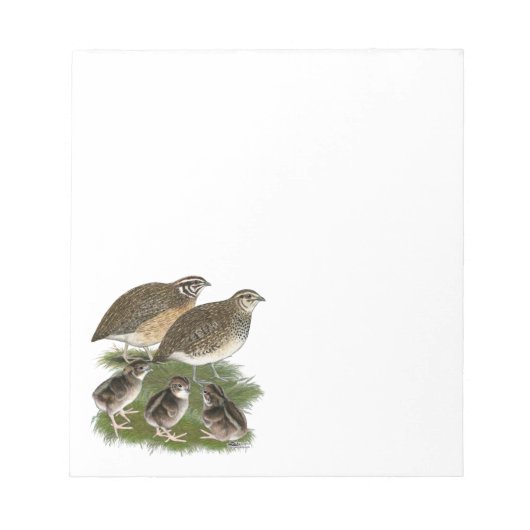 Coturnix Quail Notizblock (Vorderseite)