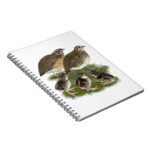 Coturnix Quail Notizblock (Rechte Seite)