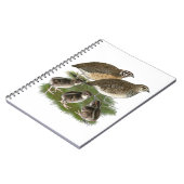 Coturnix Quail Notizblock (Linke Seite)