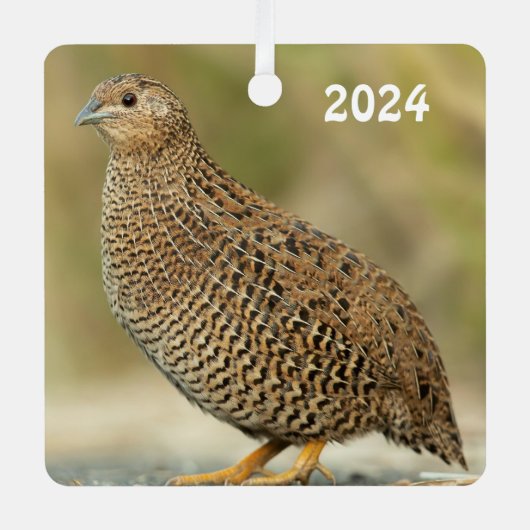 Coturnix Quail Ornament Aus Metall (Vorderseite)