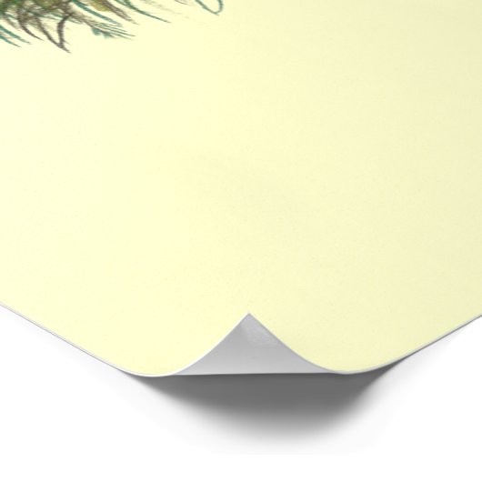 Coturnix Quail Poster (Ecke)