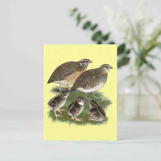 Coturnix Quail Postkarte (Stehend Vorderseite)