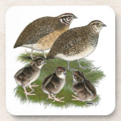Coturnix Quail Untersetzer (Vorderseite)
