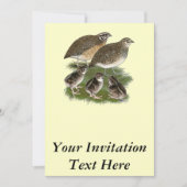 Coturnix-Wachtel-Familie Einladung (Vorderseite)