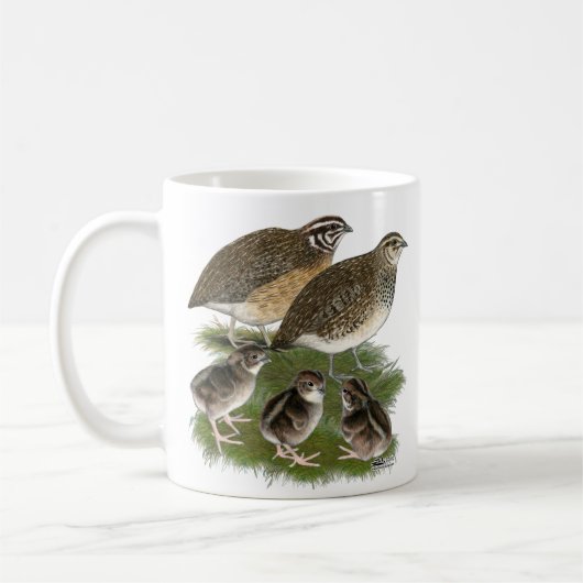 Coturnix-Wachtel-Familie Kaffeetasse (Links)