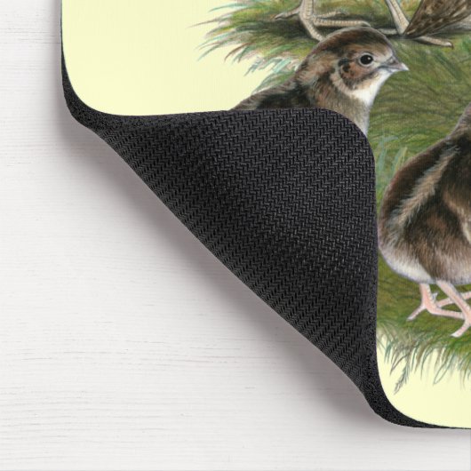 Coturnix-Wachtel-Familie Mousepad (Ecke)