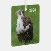 Coturnix Wachtel im Gras Ornament Aus Metall (Vorderseite Rechts)