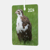 Coturnix Wachtel im Gras Ornament Aus Metall (Vorderseite links)