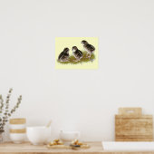 Coturnix-Wachtelküken Poster (Küche)