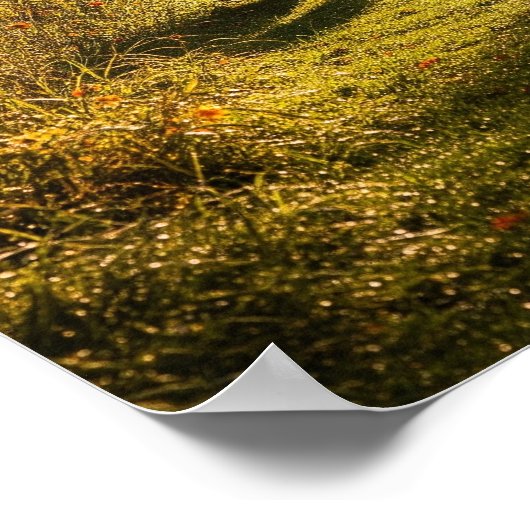 Cotzielcore Meadow Walk Poster (Ecke)