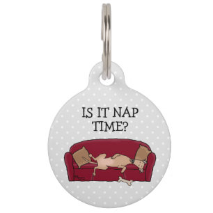 Couch Greyhound (fawn) Dog Lazy Sleeping Funny Haustiermarke