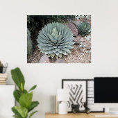 Coues' Agave ~Druck~ Poster (Heimbüro)