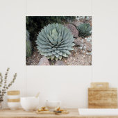 Coues' Agave ~Print~ Poster (Küche)
