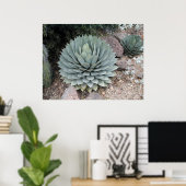 Coues' Agave ~Print~ Poster (Heimbüro)