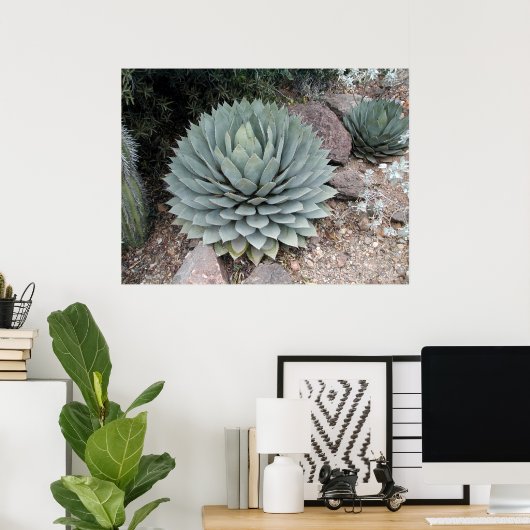 Coues' Agave ~Print~ Poster (Heimbüro)