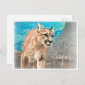 Cougar ポストカード postkarte (Vorne/Hinten)