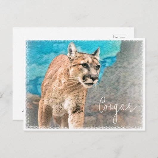 Cougar ポストカード postkarte (Vorne/Hinten)