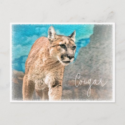 Cougar ポストカード postkarte (Vorderseite)
