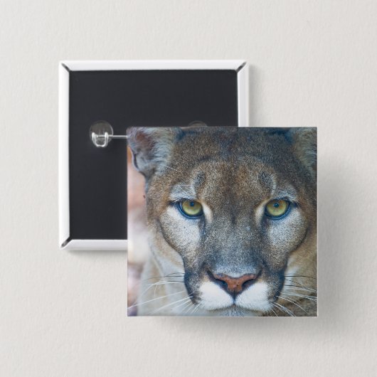 Cougar, Berglöwe, Panther Florida, Puma Button (Vorne & Hinten)