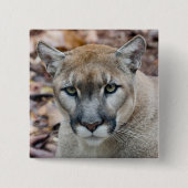 Cougar, Berglöwe, Panther Florida, Puma Button (Vorderseite)