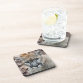 Cougar, Berglöwe, Panther Florida, Puma Getränkeuntersetzer (Rechte Seite)