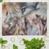 Cougar, Berglöwe, Panther Florida, Puma Handtuch (Gefaltet)