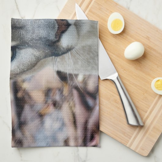 Cougar, Berglöwe, Panther Florida, Puma Handtuch (Viertel Falte)